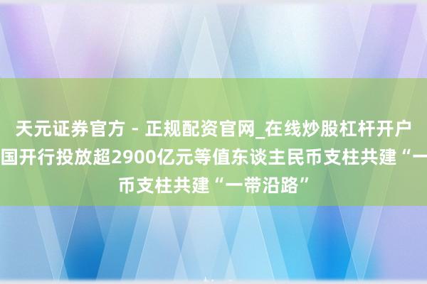天元证券官方 - 正规配资官网_在线炒股杠杆开户 2025年国开行投放超2900亿元等值东谈主民币支柱共建“一带沿路”