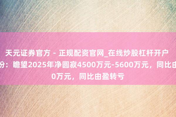 天元证券官方 - 正规配资官网_在线炒股杠杆开户 迎丰股份：瞻望2025年净圆寂4500万元-5600万元，同比由盈转亏