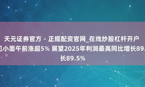天元证券官方 - 正规配资官网_在线炒股杠杆开户 碰见小面午前涨超5% 展望2025年利润最高同比增长89.5%