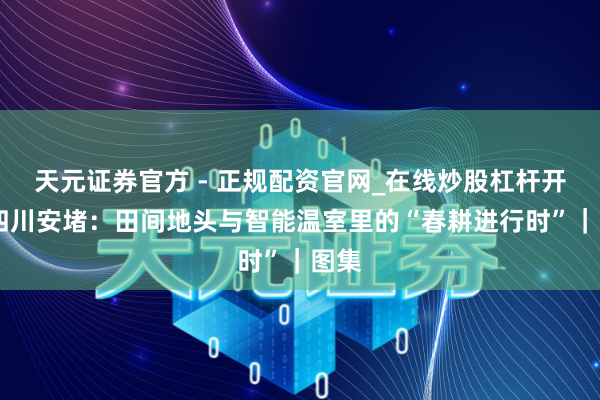 天元证券官方 - 正规配资官网_在线炒股杠杆开户 四川安堵：田间地头与智能温室里的“春耕进行时”｜图集
